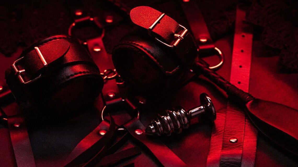 Explorer la dynamique dominante-soumis dans la région marseillaise